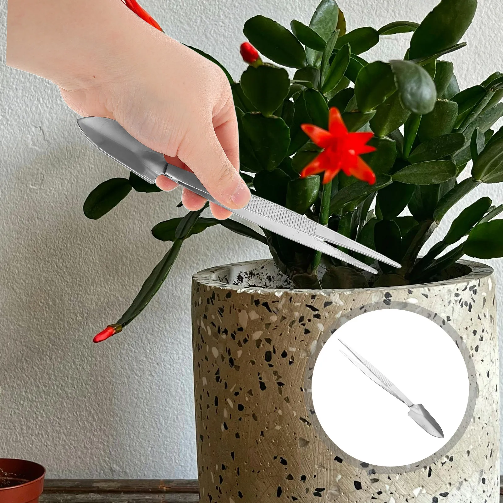 

Пинцет для бонсай из нержавеющей стали, маленькие садовые грабли, инструмент для рыхления почвы, прецизионные инструменты для ухода за бонсай и ландшафтного дизайна