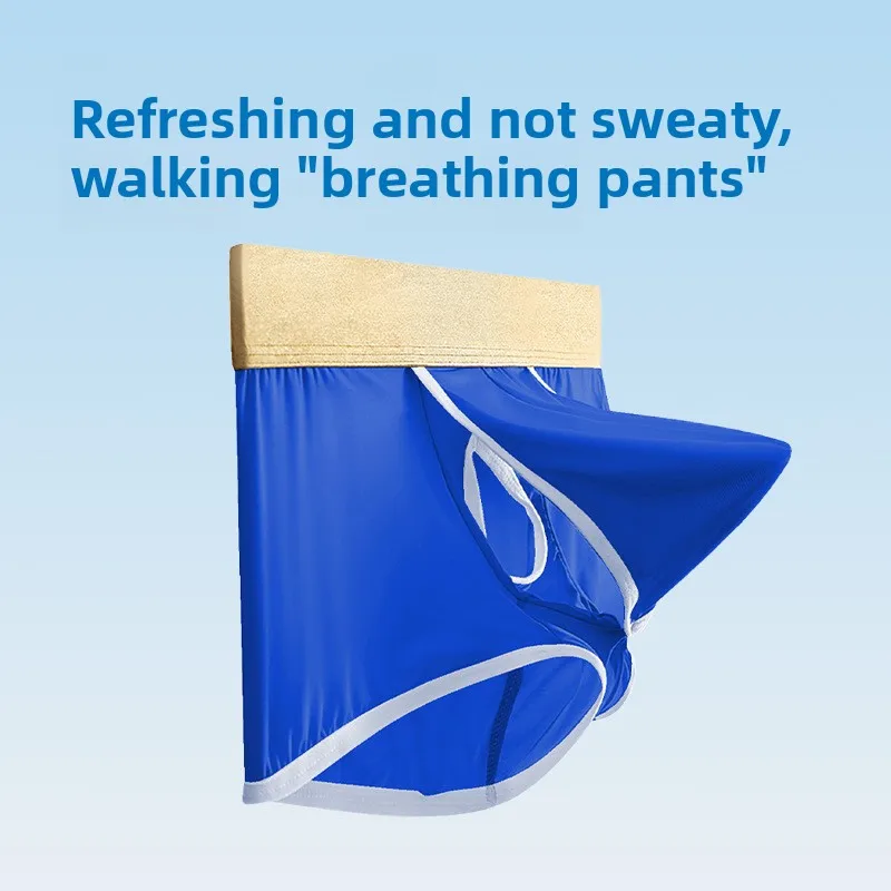 Men Cool Ice Silk Boxer Briefs Bullet Separation Dual Pouch Mid Waist Quick Dry Breathable Sexy No Ride Up Scrotal Support Trunk