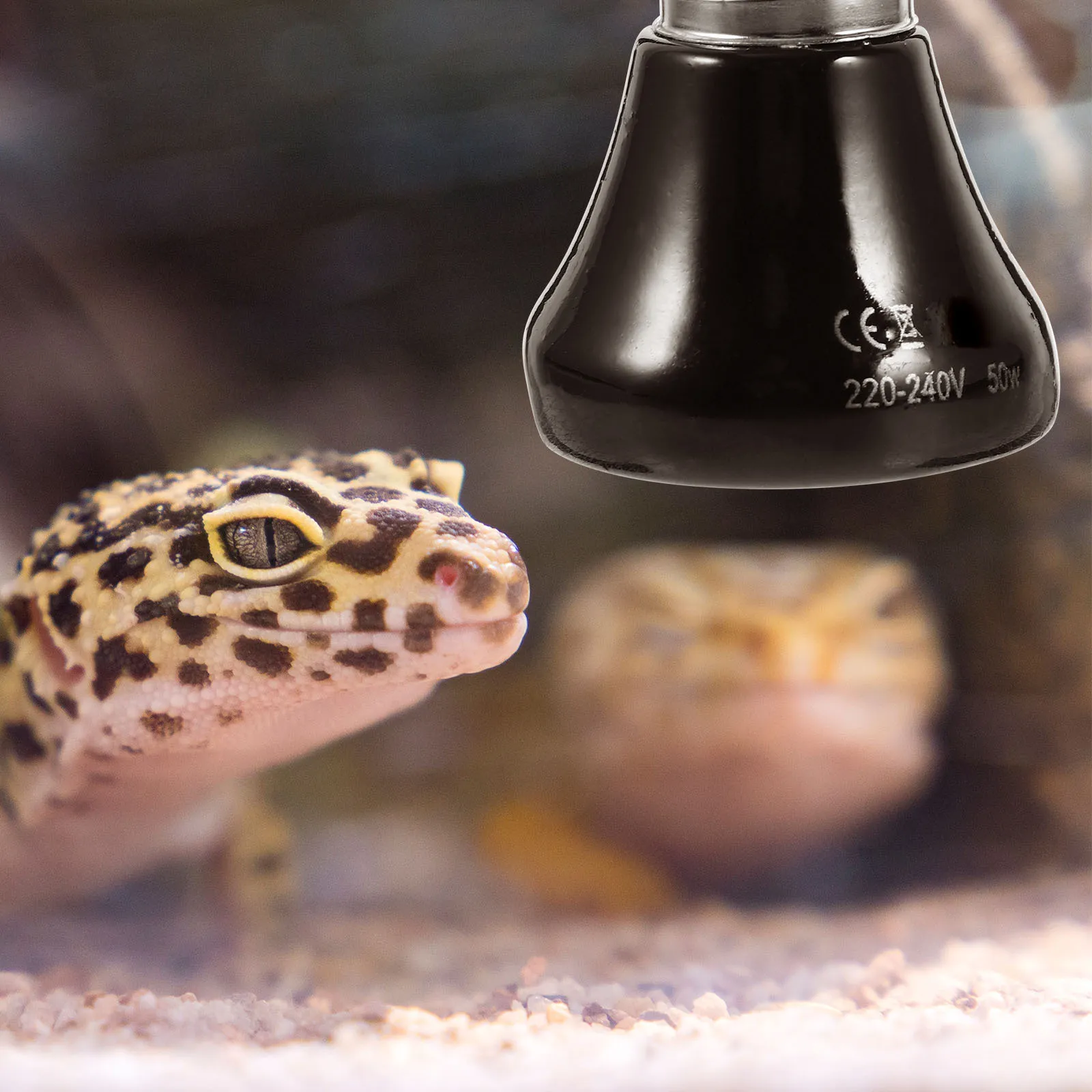 

50W Ceramic Heating Bulb for Reptiles Safe Non-Light Heat Source Ideal Bearded Dragon Accessories Reptile Heat Lamp Bulb