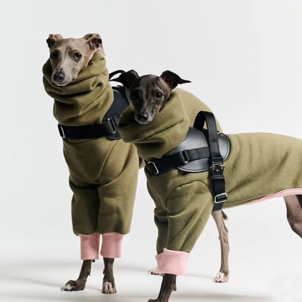 Mono forro polar 2 patas verde invierno para Galgo Italiano y Whippet - imagen 2