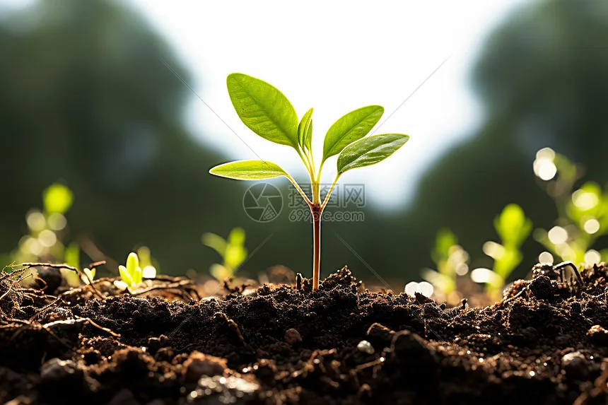 

Brass Steering Cup, C Seat Rear Cup Gear Cover for MJX H12Y H12Y + H12P RC, Metal Upgrade OP Accessory Parts for Car