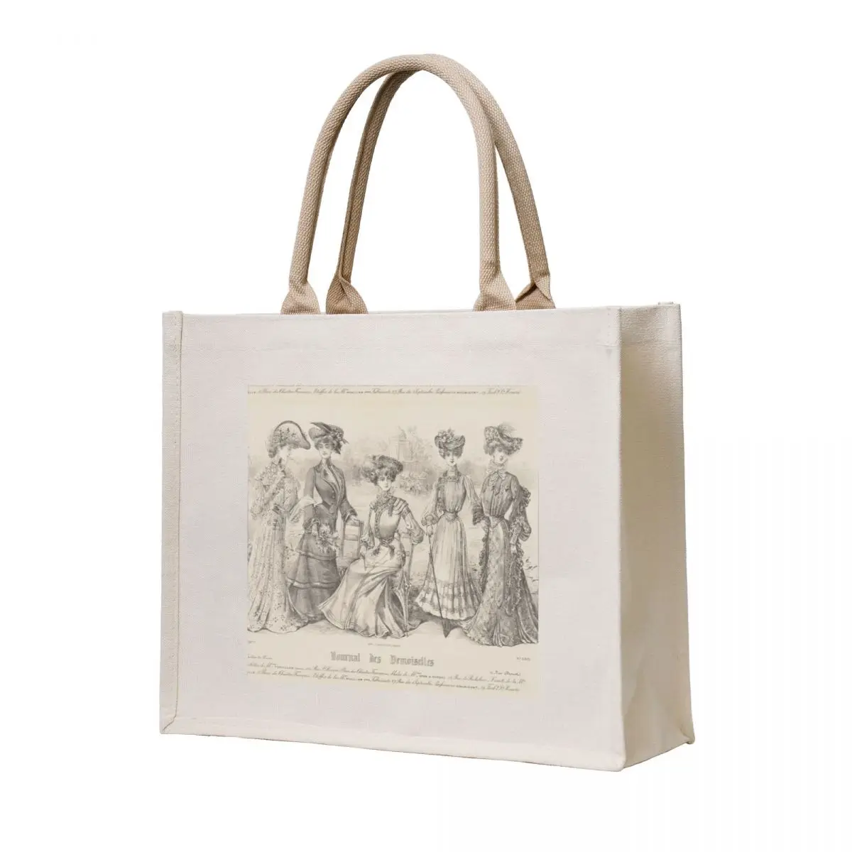 

1903 Vintage French Ladies Fashion Plate Tote Bag tote bag canvas shopping trolley bag Cloth