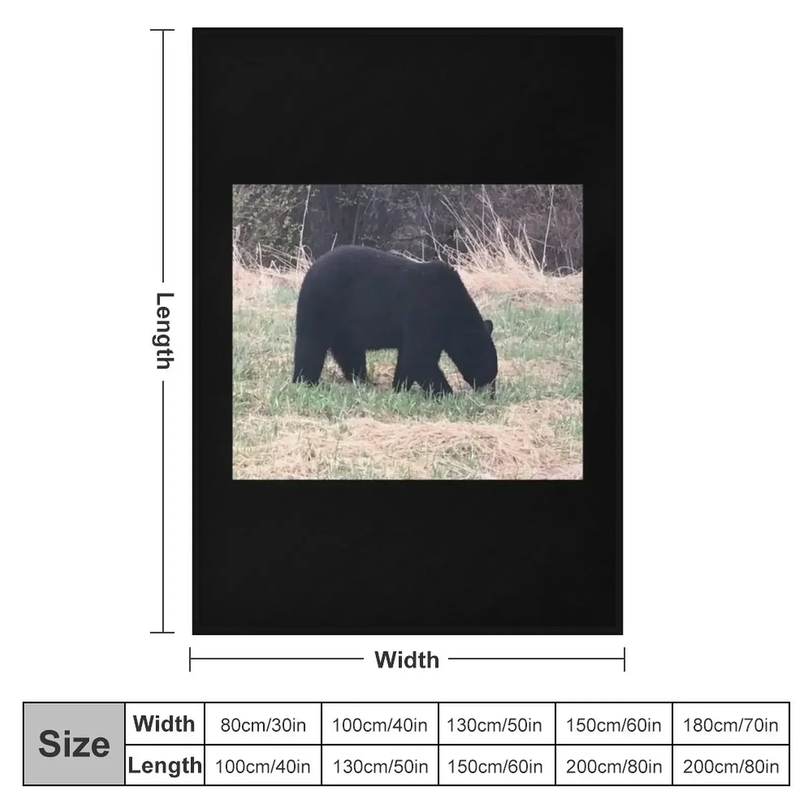 Black bear in Jasper Throw Blanket Luxury Brand Blankets For Baby Camping Blankets