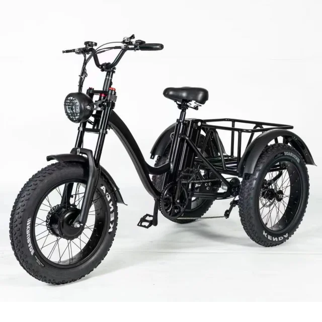 Remote Chinese Tricycle Product Electric Tricycle for Adults