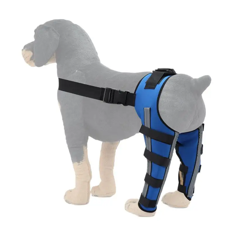 

Orthopedic Brace For Dogs Pet Joint Hip Support Brace Portable Pet Knee Wound Protection For Small Animals Recovery