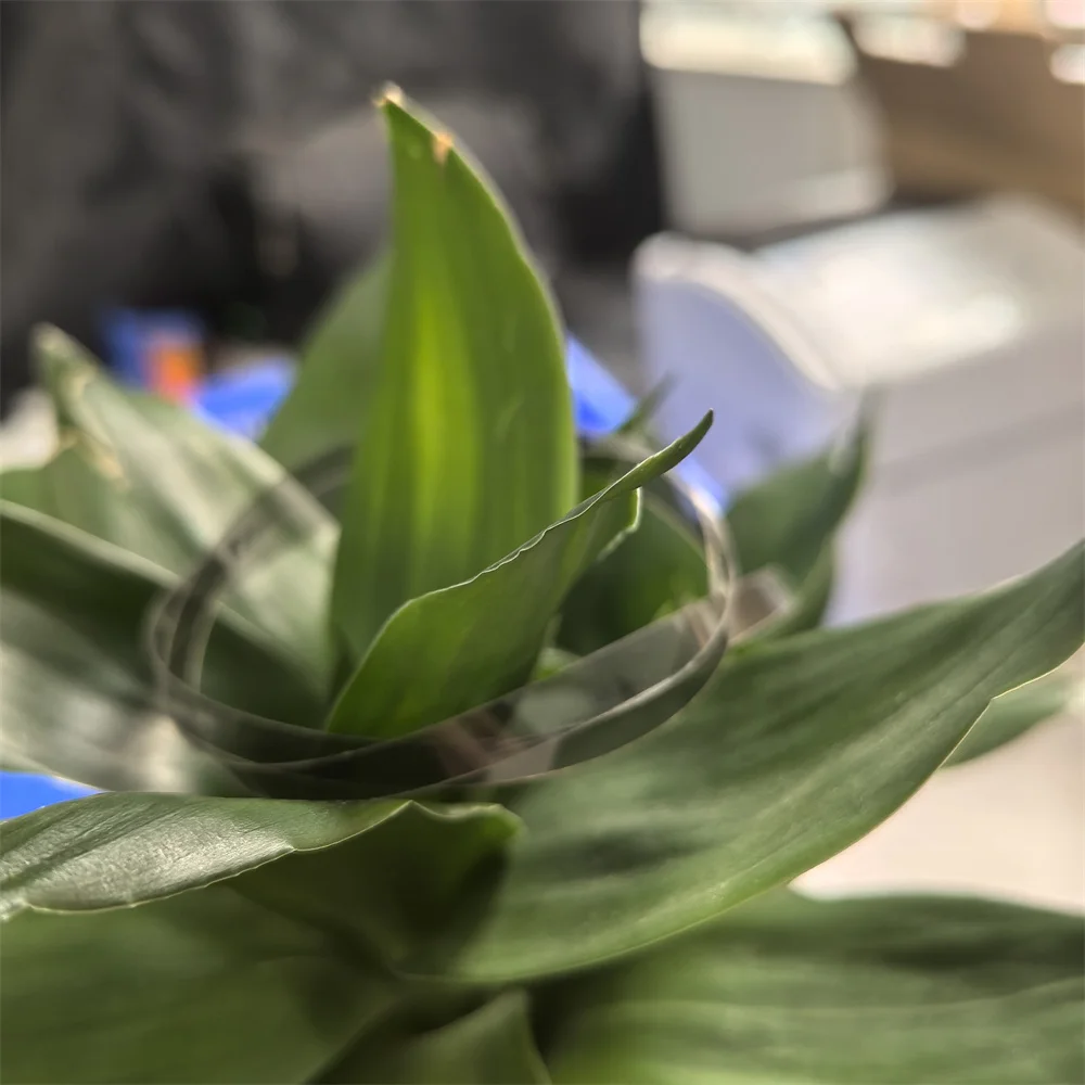 

20pc Encoder strip for canon PIXMA G2800 G1000 G2000 G2400 G3411 G3415 G2411 G3000 G1500 G2500 G3500 G3400 G3411 QC3-3935