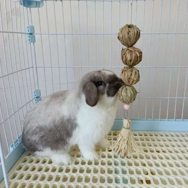 Juguete de Lapin para mascotas, Bola de paja Natural, cuerda colgante, conejo, Limpieza de dientes, juguetes para aliviar el aburrimiento, hámster,