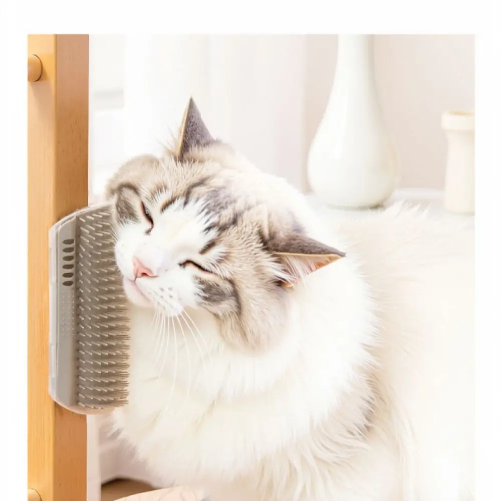 Cat Massage Grooming Brush With Catnip Wall Corner Scratching Toy Interactive Tool For Hair Shedding Removal Pet Supplies