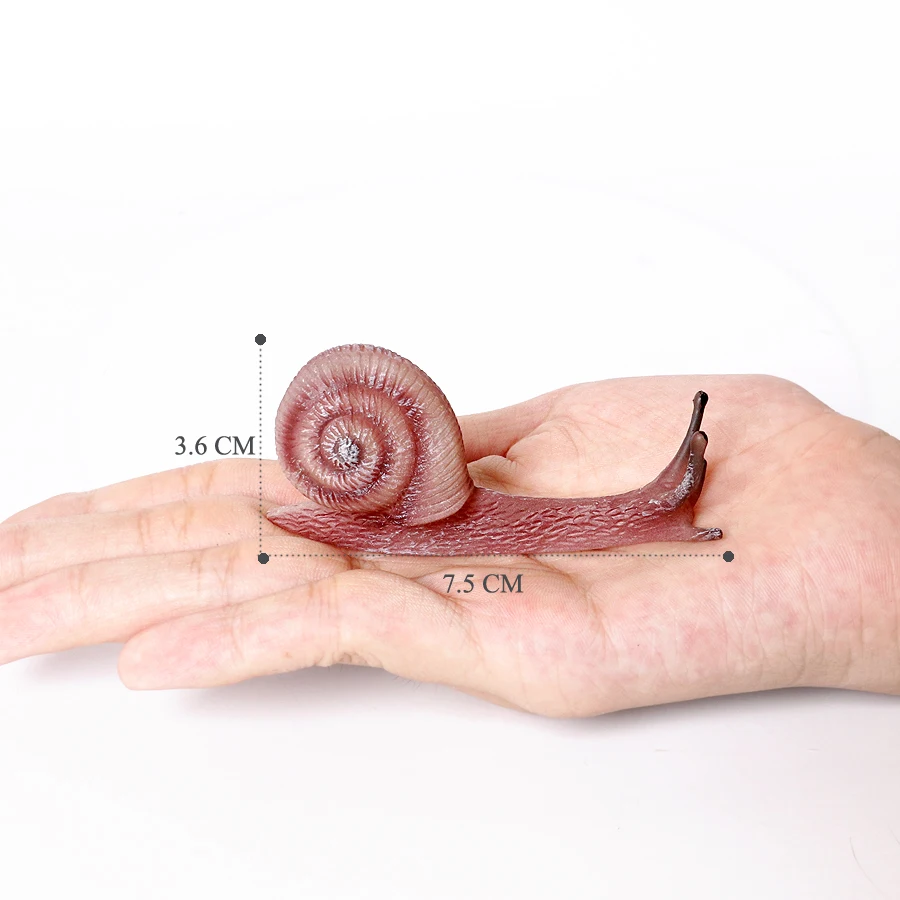 Realistischer Lebenszyklus einer Schnecke, Modellfigur, Schneckenfigur, Partyzubehör, Kuchendeckel, Tischdekoration, Sammlungsspielzeug