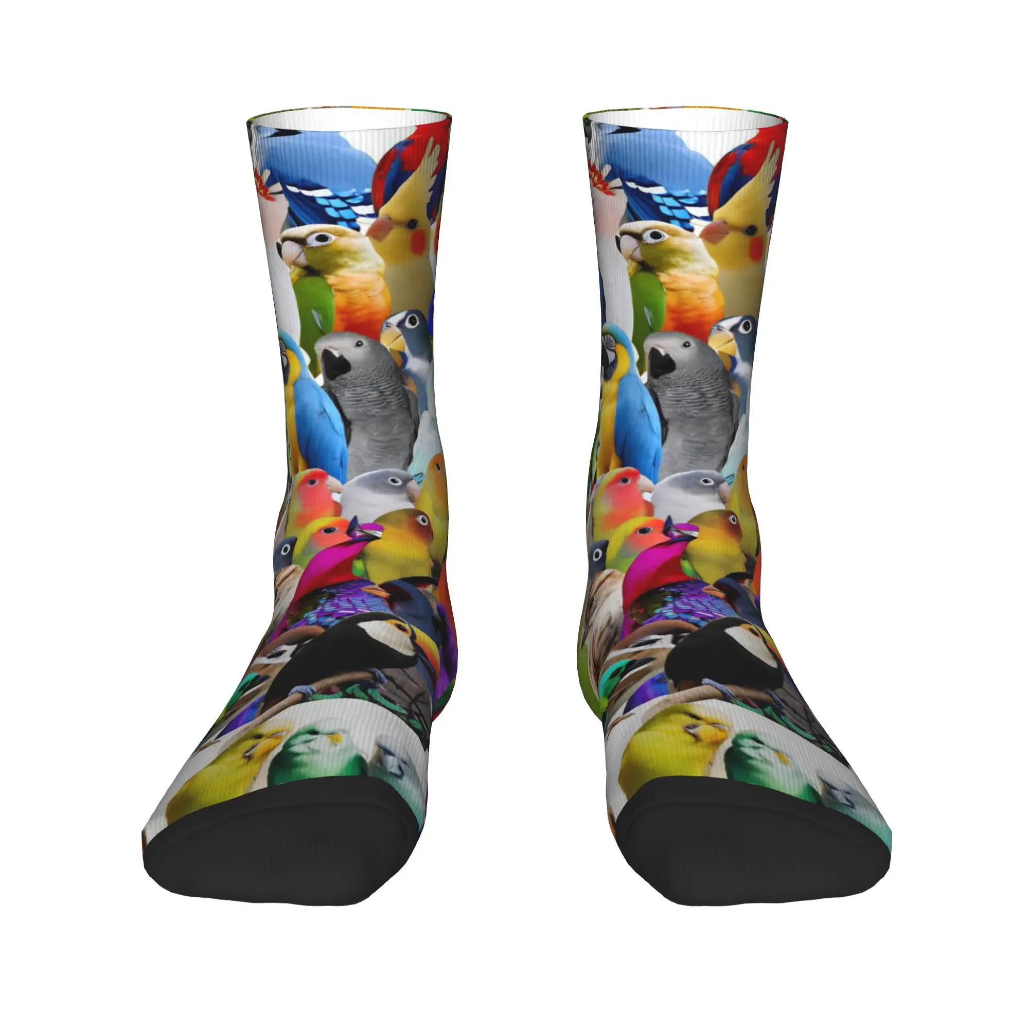 Cute Birds Parrot Stockings Adults Men  Socks High Quality Modern Socks Autumn Outdoor Sports Non-Slip Pattern Socks Gift Idea