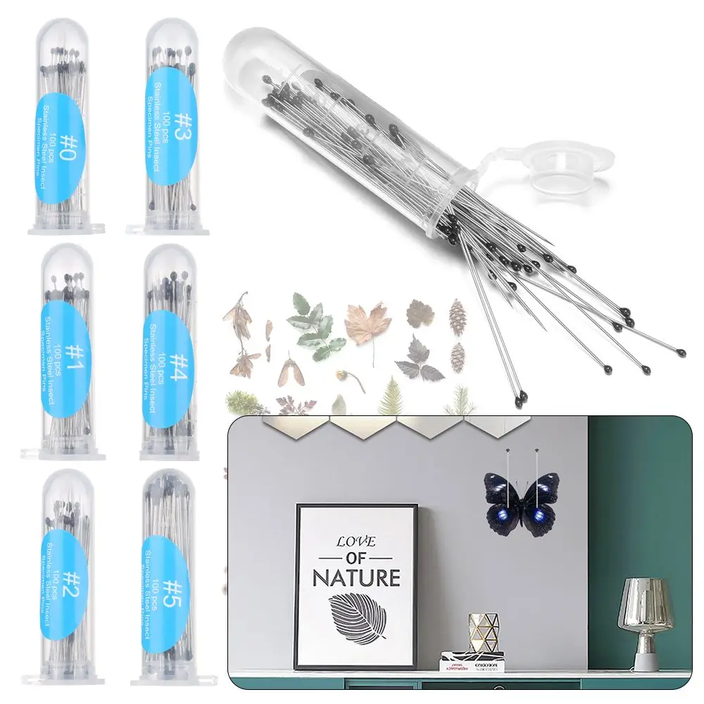 100Pcs Stainless Steel Sewing Pins Specimen Needle Insect Pins With Plastic Box For School Lab Entomology Body Dissection