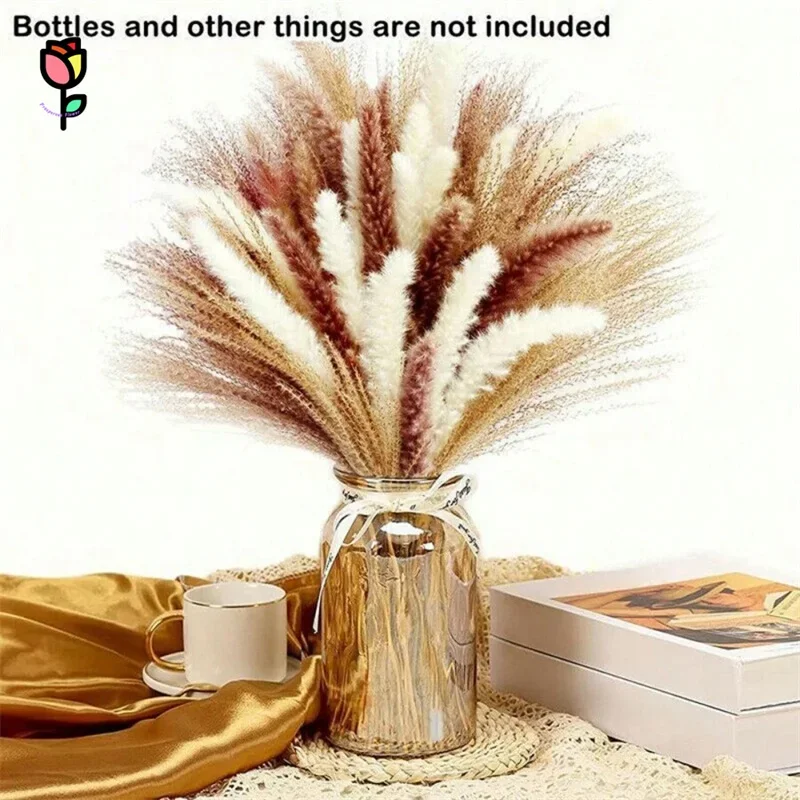 

Natural Dried Flower Pampas Grass Bouquet Boho Home Decor Fluffy Bunny Tails Pampa Wedding Decoration Arrangements Faux Flowers