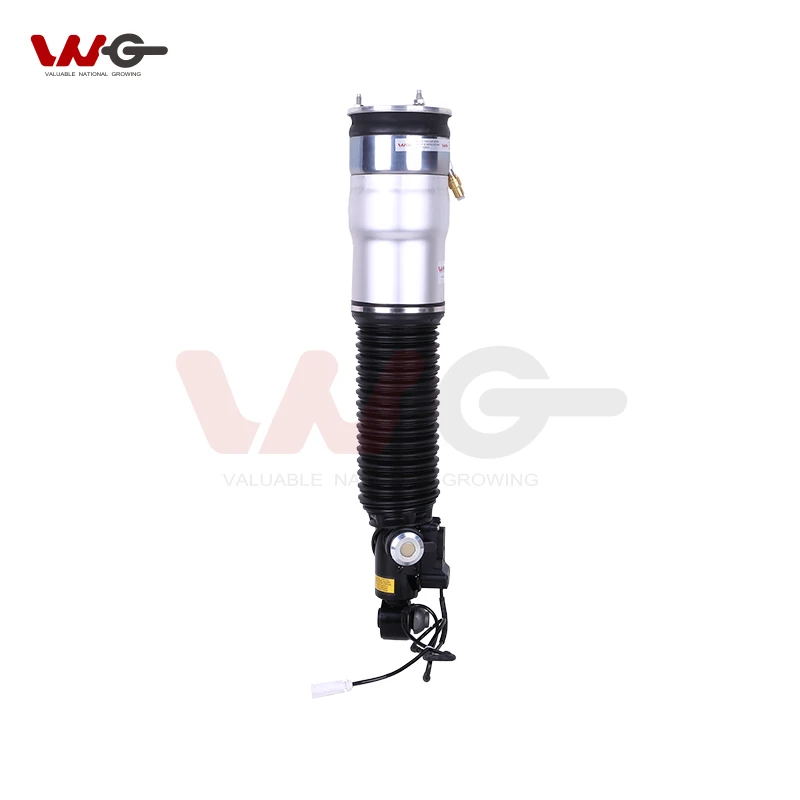 High Quality Rear Air Suspension OEM 37126796929 37126791675 Air Suspension Shock For BMW 7 Series F02 F01