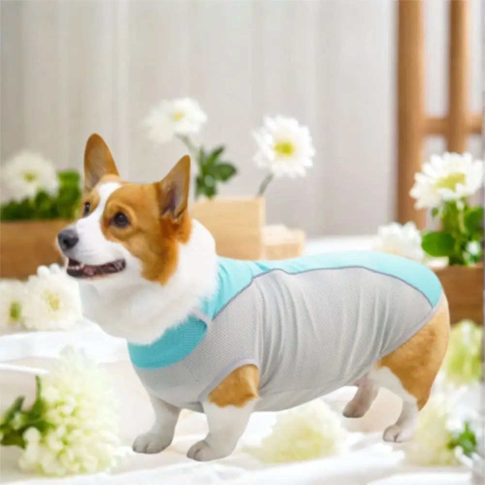 

Thin Fabric Dog Cooling Vest Mesh Quick Dry Dog Clothes Sun Protection Breathable Pet Sleeveless Clothes