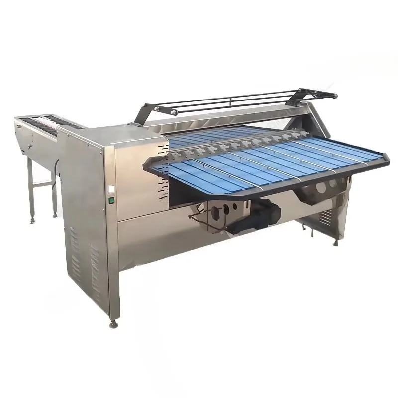 Customizable High Efficiency Egg Grading Machine Automatic Egg Sizer Classifier for Fresh Egg Processing Plant