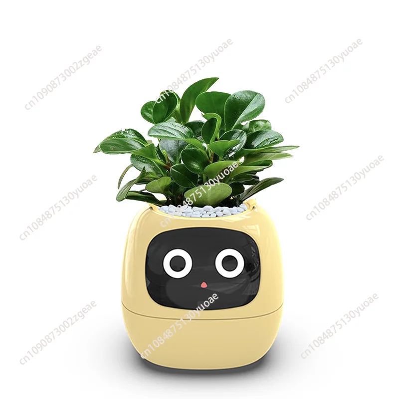 Smart and Cute Pet Pot, Green Plants, Ivy Table Top, Let Your Plants Express Emotions, New