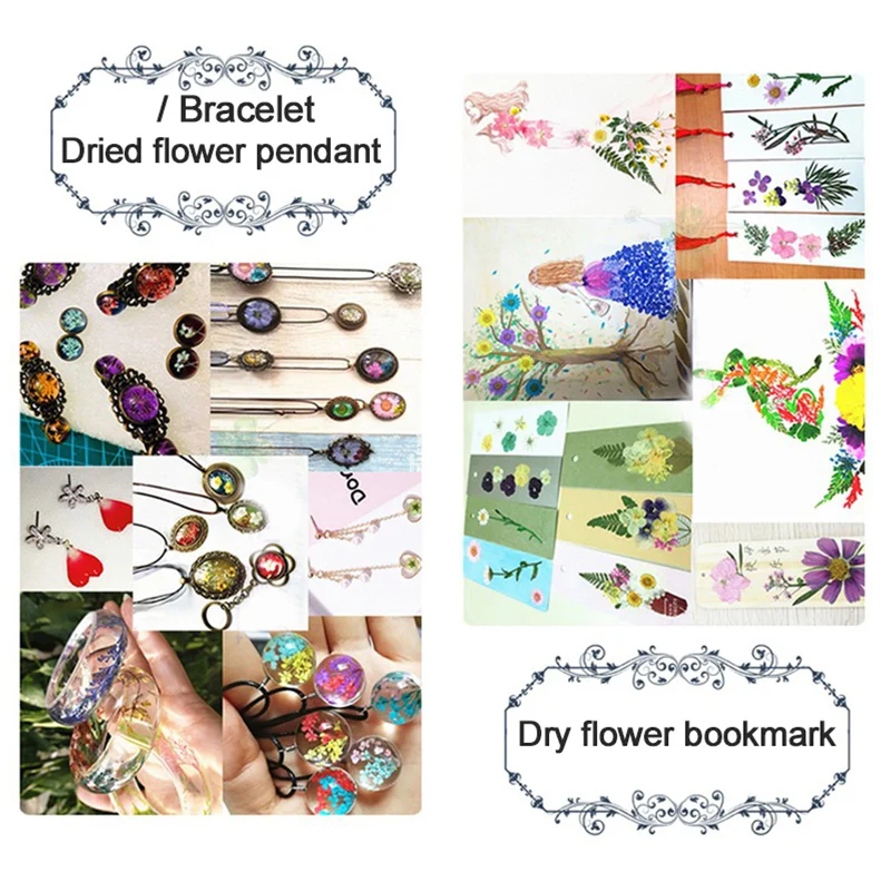 زهور مجففة مضغوطة مختلطة ، فن ذاتي الصنع ، مشغولات نباتية ، هدية فنية #4