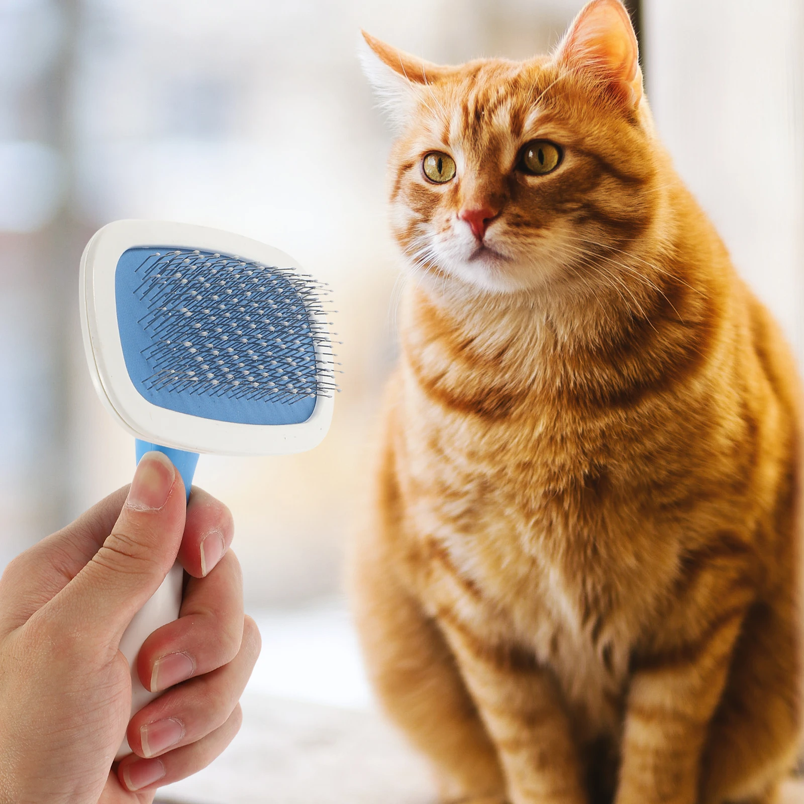 

1Pc Comfortable Handle Pet Grooming Comb For Cats Dogs Massage Tool High-Quality Design