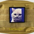 TH002-Wonderful cat