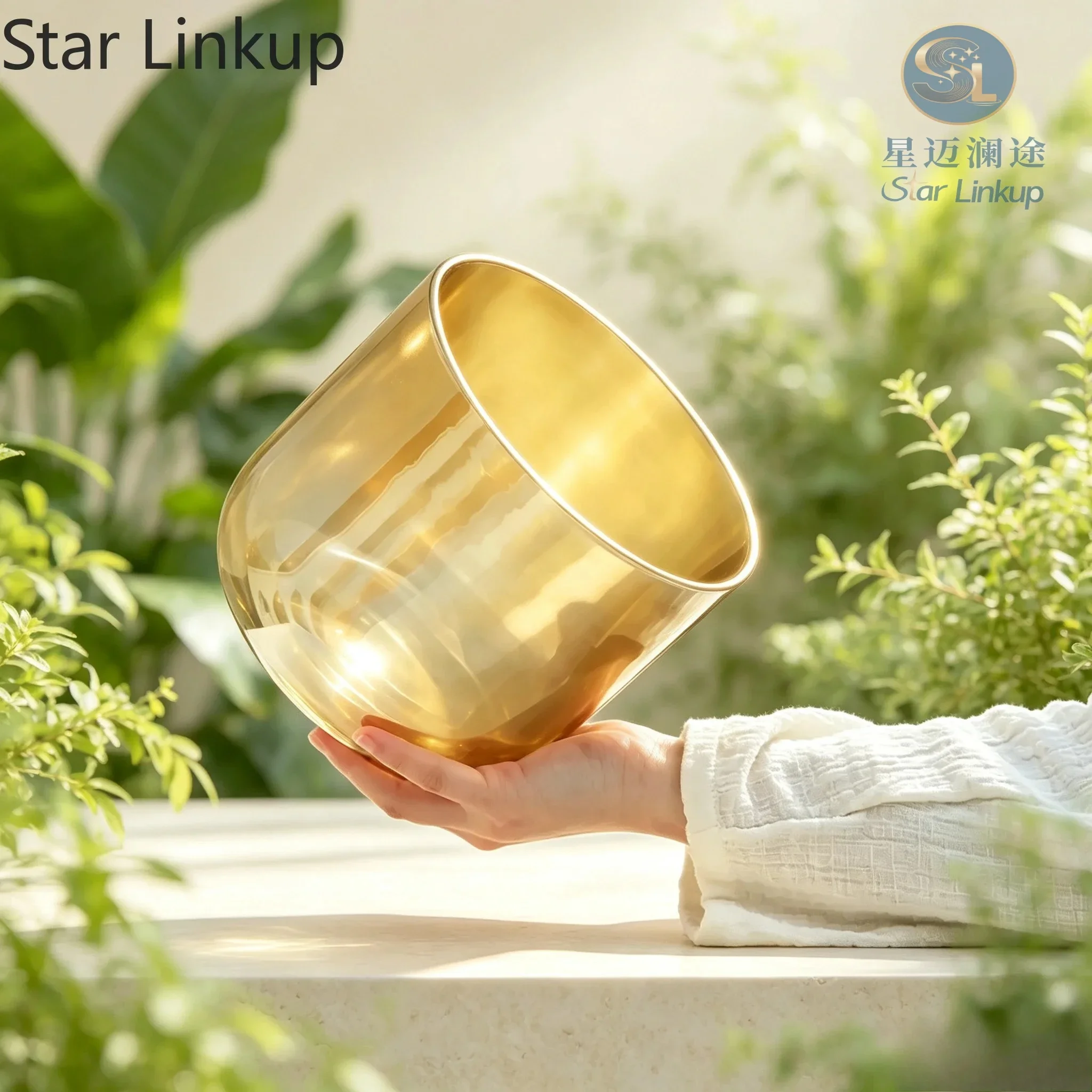 Star Linkup 6