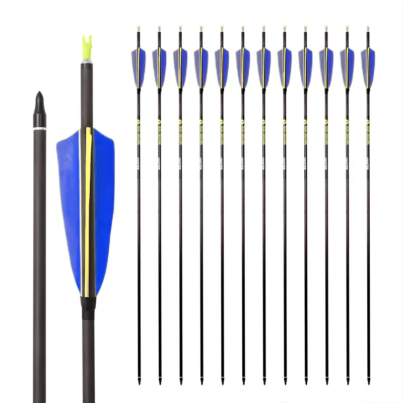 

12pcs ID6.2mm Archery Pure Carbon Arrows 4 inch Turkey Feather 100gr Tip Insert Traditional compound Bow Hunting Accessories