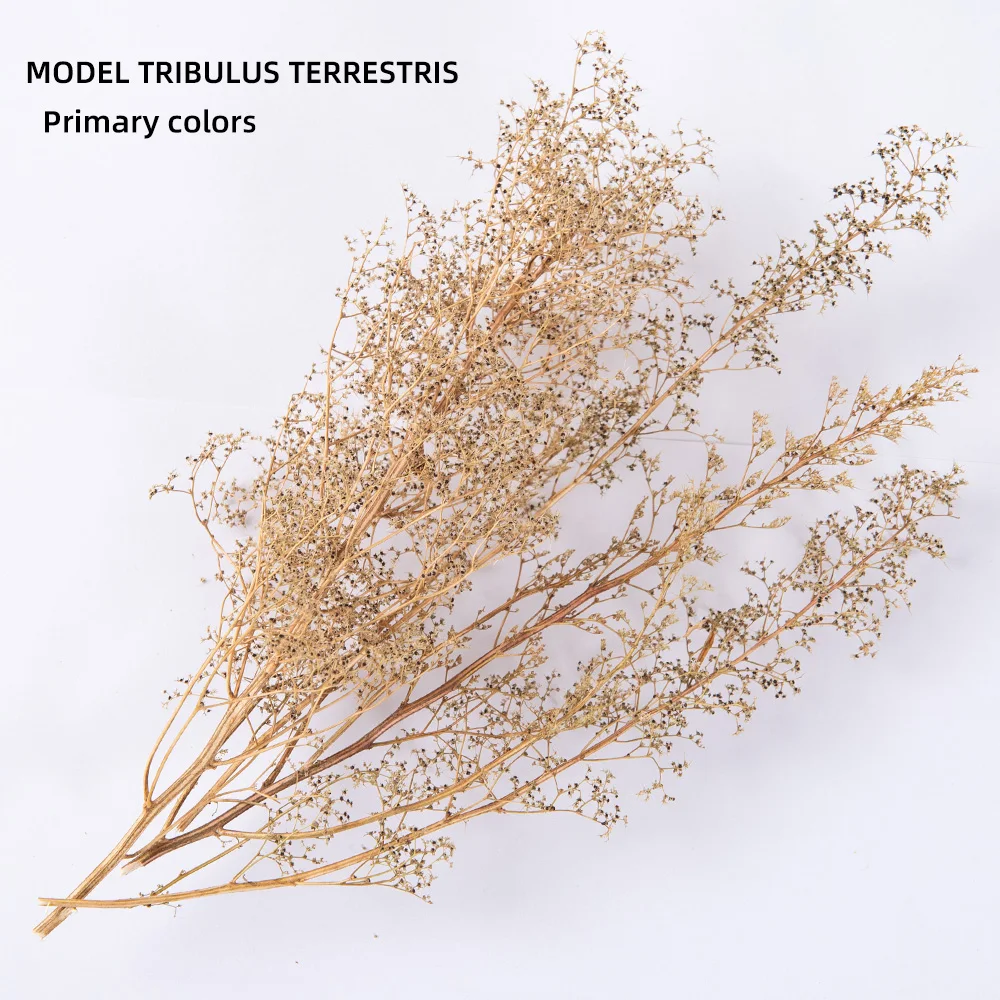 12-20CM Miniature Tribulus Model Simulation Tree Scene Vegetation Bushes For HO N Railway Train Military Wargame Diorama 1Box