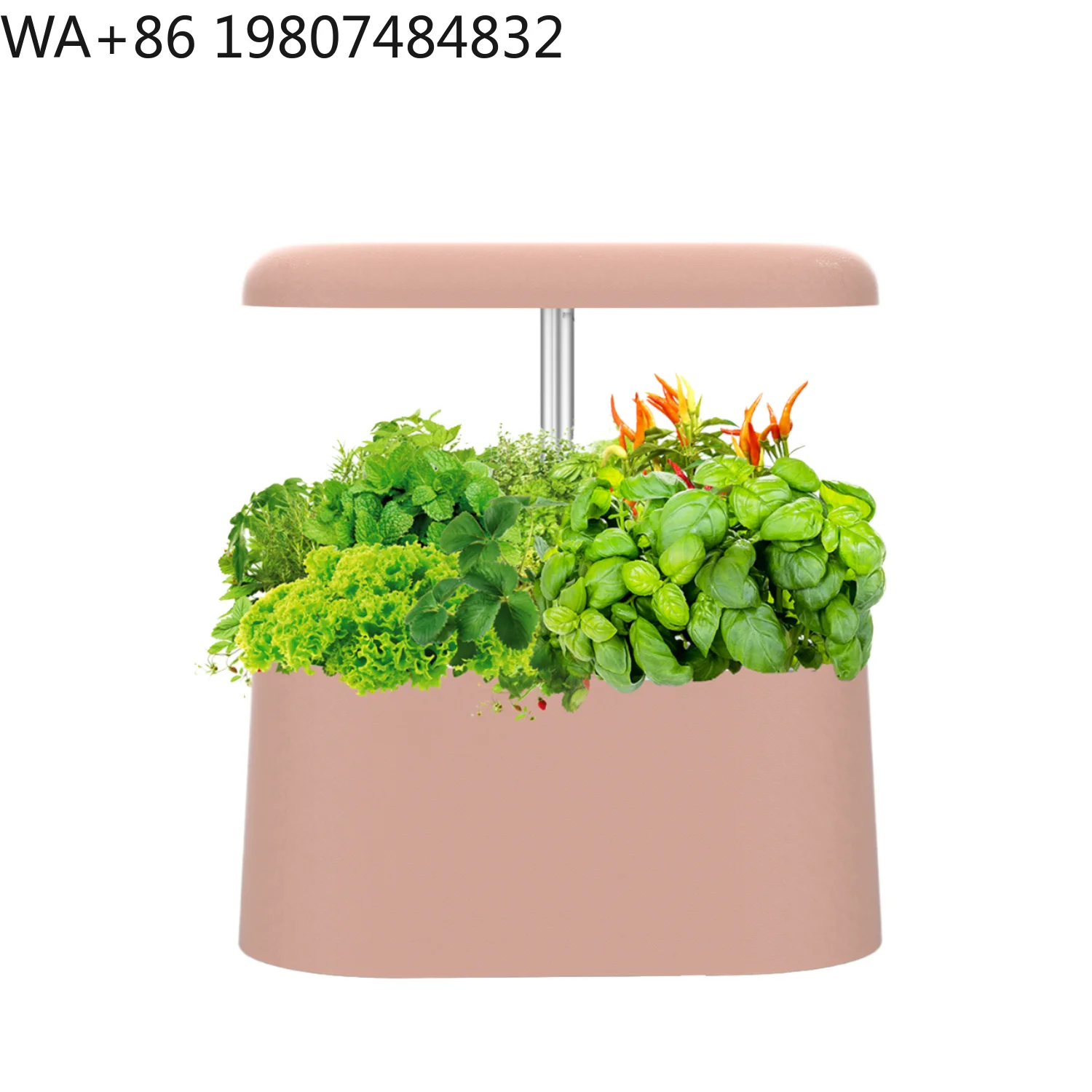 Compact ABS Aluminum Desktop Soilless Grow Kit Touch Control Timing LED Grow Light Space Saving Hydroponic Cultivation Gear