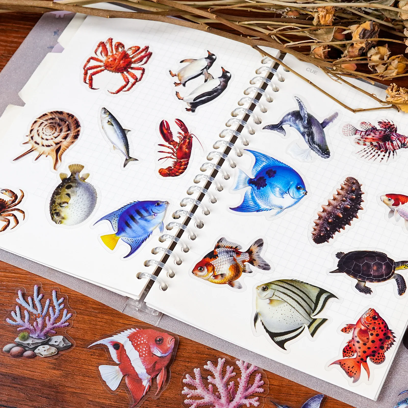 56/112 Pcs New Realistic Marine Animal PET Stickers High Transparency Various Fish Creative Handmade for Notebook Fridge Cabinet