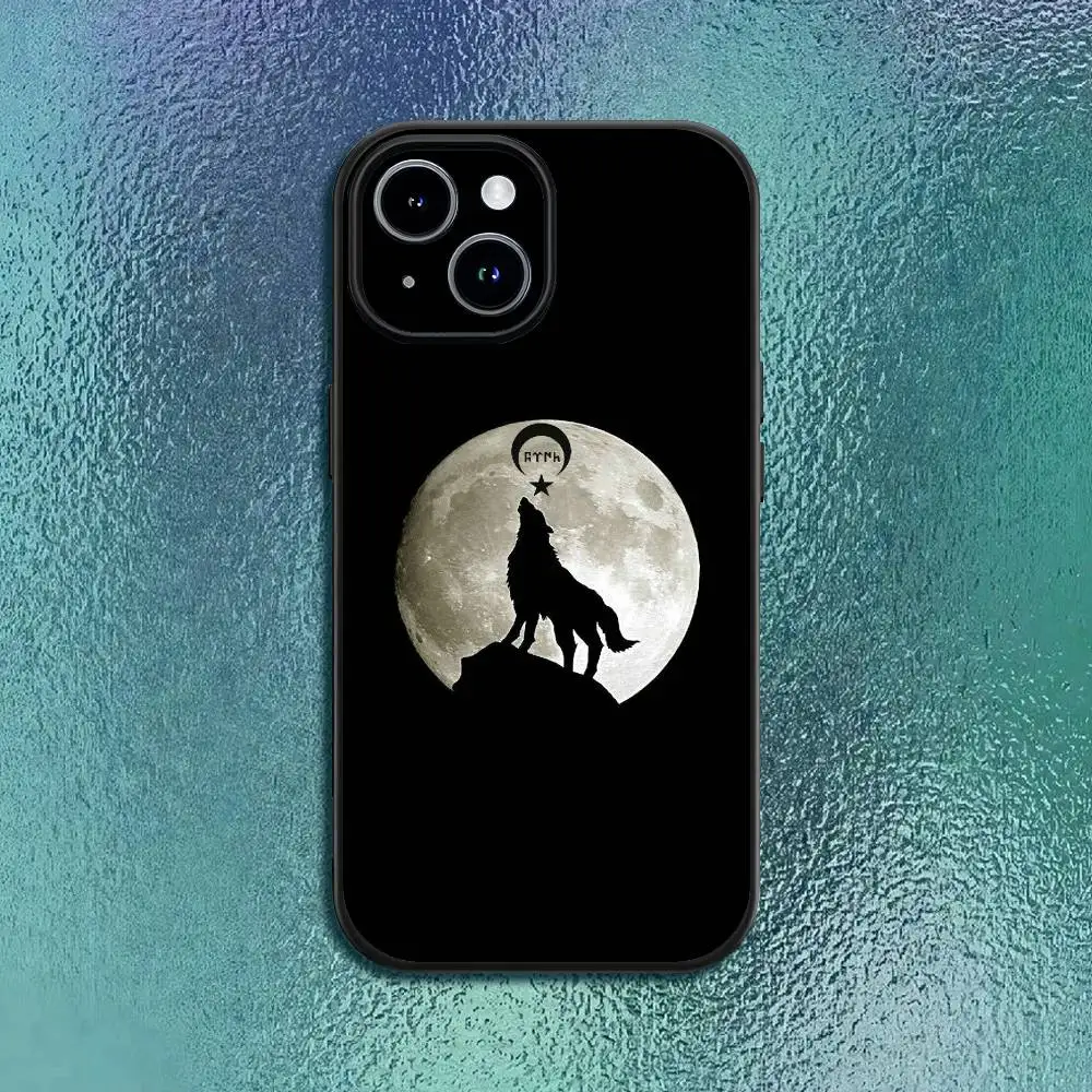 حافظة لهاتف آيفون 11 12 13 14 15 16Pro Max Plus باللون الرمادي b-bozkurt-t لهاتف آيفون 11 12 13 14 15 16Pro Max Plus غلاف ناعم أسود كلاسيكي #5