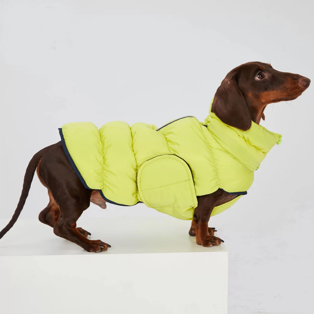 Chaqueta de invierno para teckel: abrigo cálido cortaviento fácil - imagen 2