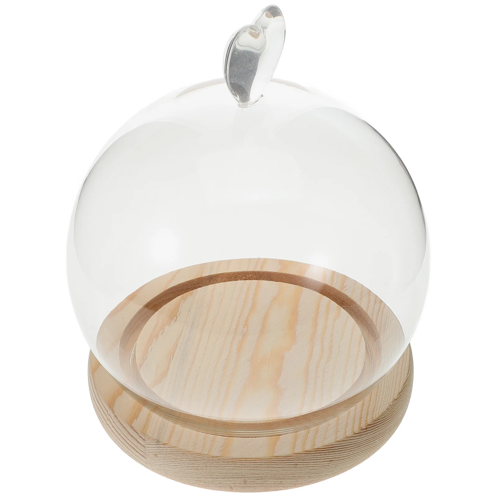 

1Set Glass Dome Cloche Heart Shape Clear Glass Display Base Stable Protective Cover DIY Decorative Display Case for Home