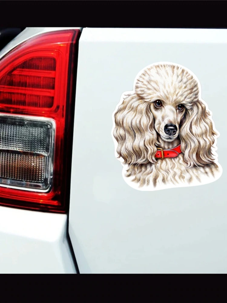 Z91# 13CM/17CM PVC Decal Poodle Dog Car Sticker Waterproof For Bumper Rear Window Laptop Refrigerator Toilet