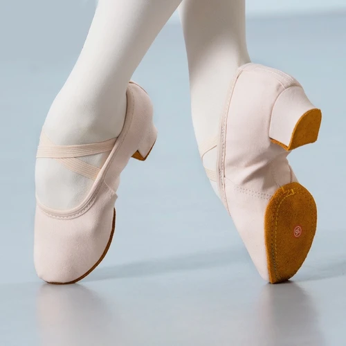 Zapatos de baile de Ballet para mujer, zapatos de entrenamiento de escenario para profesores, zapatillas de suela blanda, zapatos de baile de Jazz para niñas