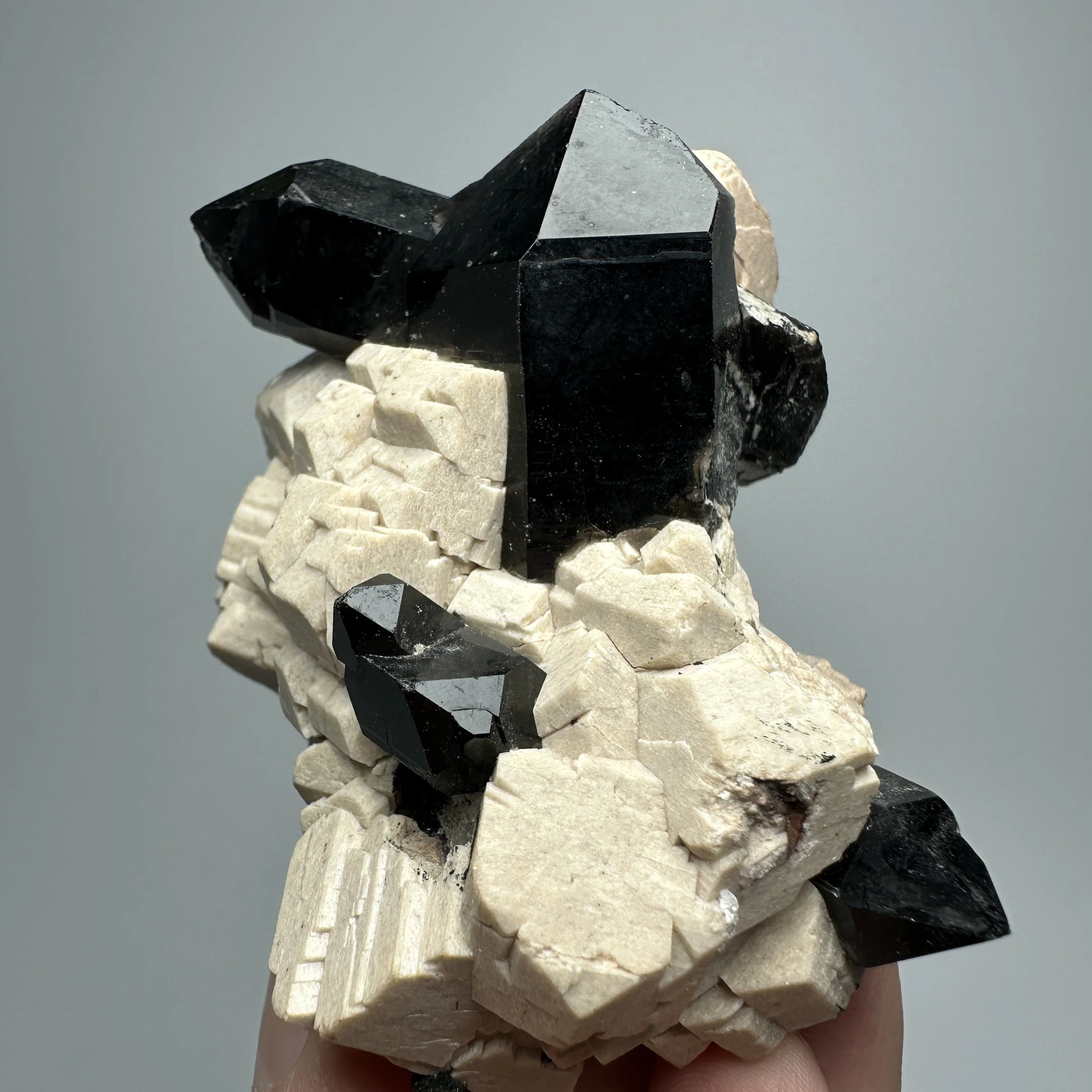 Natural Black Smoky Quartz Crystal Point Feldspar Symbiont Mineral Specimen Rough Healing Stone Home Decoration Collection Gift