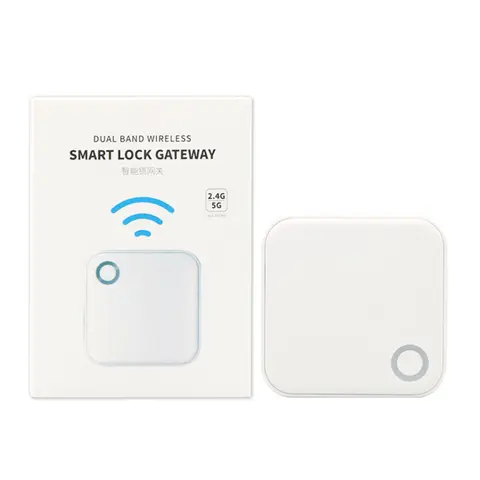 Supporto per gateway WiFi TTLock o TTHotel APP G5 WiFi 2.4G e 5G per Smart Lock con telecomando