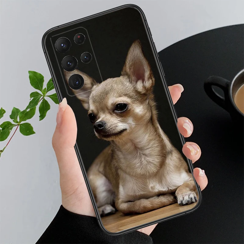 Funda de teléfono para cachorro de Chihuahua, carcasa para Samsung Galaxy A52S, A04S, A21S, A33, A23, A13, A14, A32, A52, A53, A54, A51, A71, M51