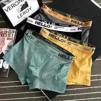 4Pcs Men Panties Boxer Shorts Ice silk Men's Underwear Breathable Mesh Man Underpants Male Thin Sexy Boxers L-4XL