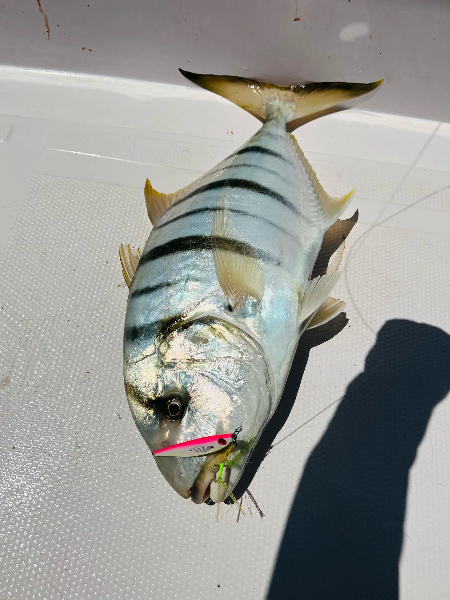 WEIHAI FSTK metal Jig Fishing Lure 60 80 100G Shore Cast Jigging Spoon Bass Fishing Bait Trout Saltwater Jigging Lures