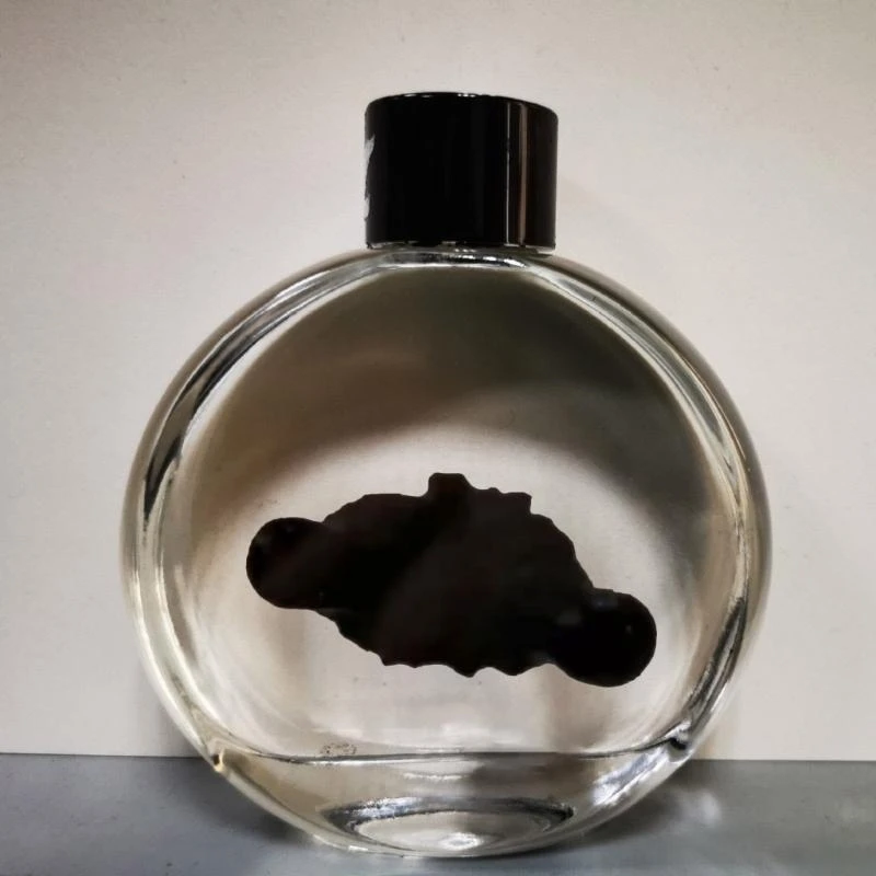 Ferrofluid Display Toy Ferrofluid Display Bottle Table Decoration Dynamic Landscape Desk Science Toy Ornament 15UB