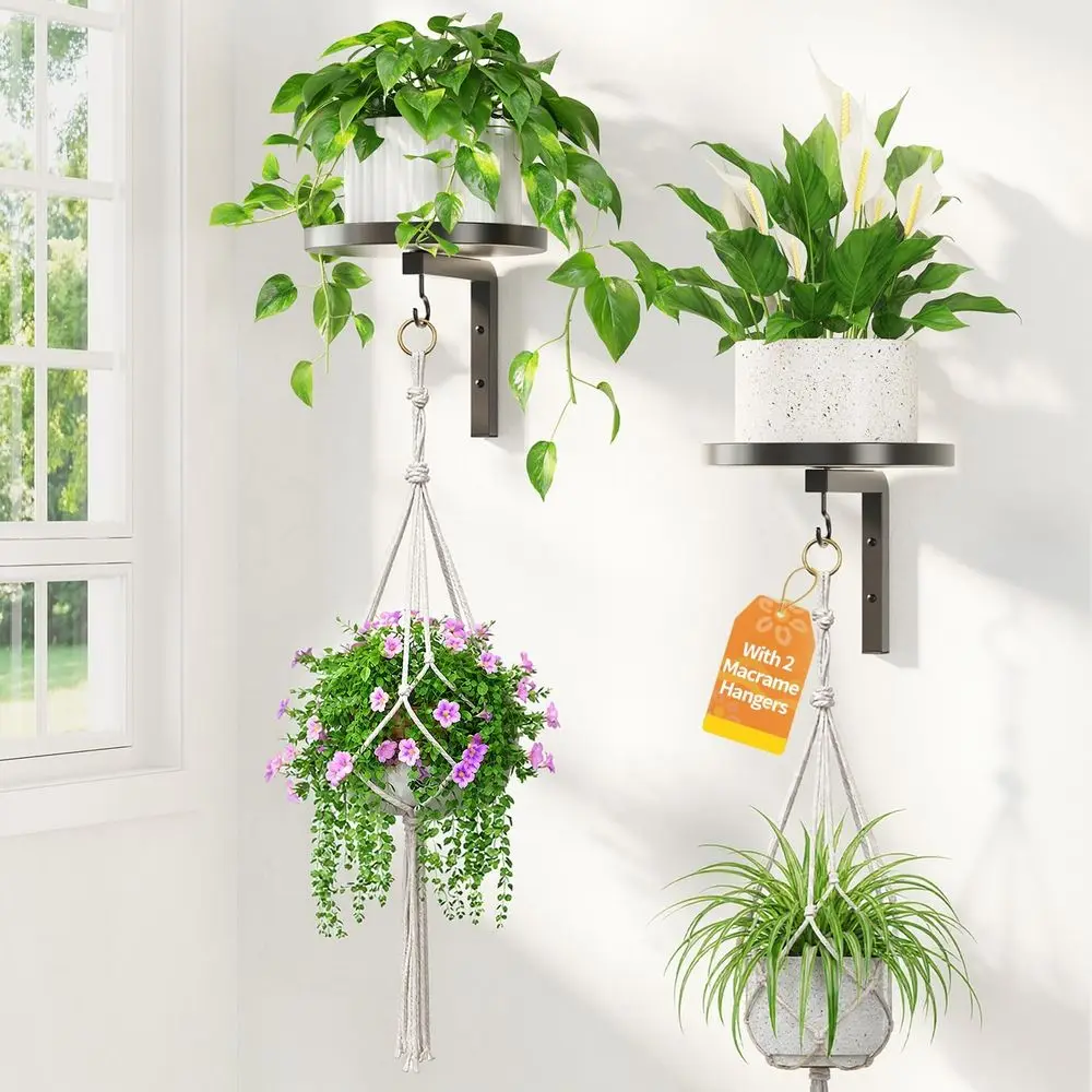 Plant Hangers Shelves Wall Mounted Indoor with 2Pcs e Hanger, Metal Window Plant Holders, 2 Pcs ern loating lower Display Stand