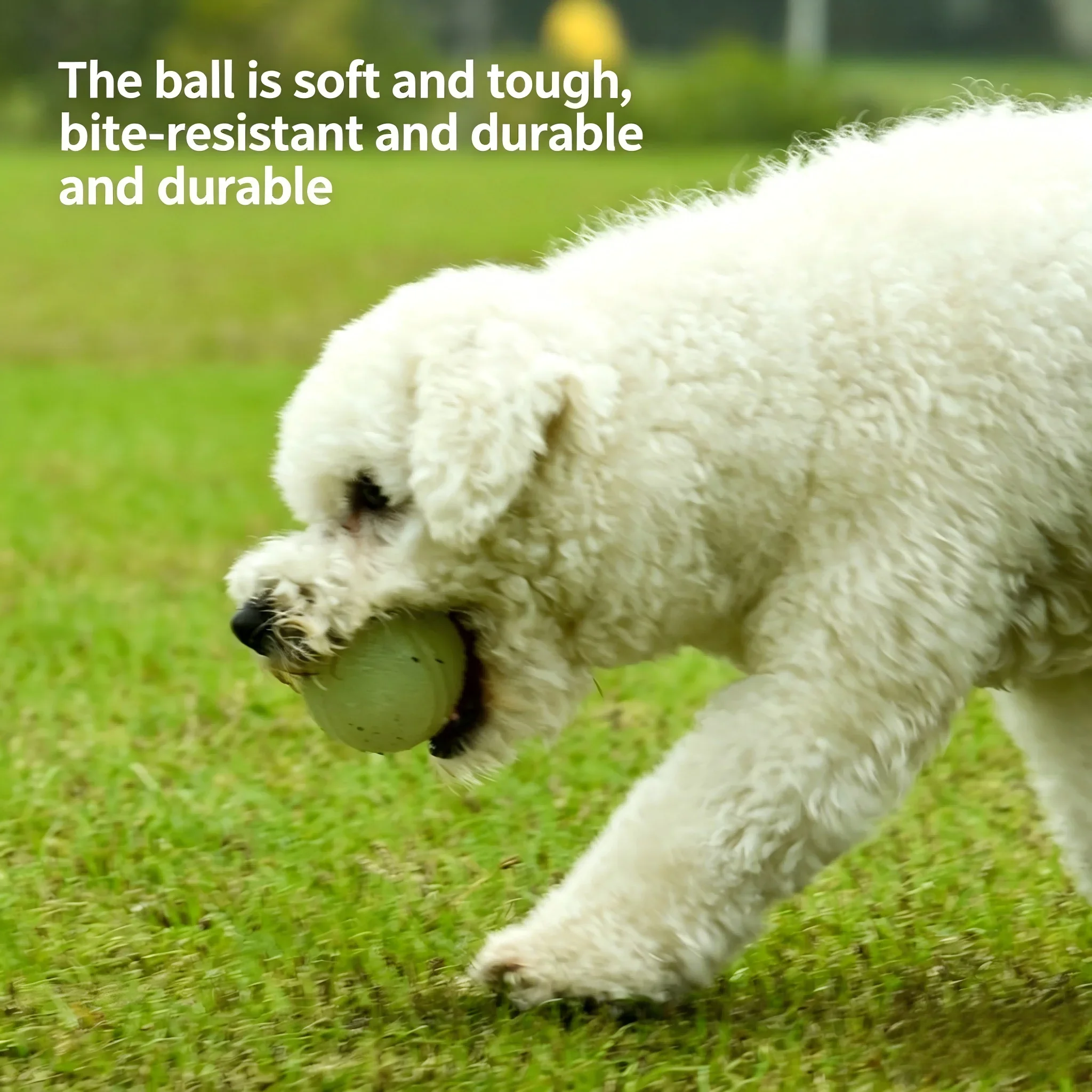 Glow in The Dark Dog Ball, Durable Bite-Resistant Pet Toy for Night Play, Non-Toxic Rubber Dog Chew Ball for Small/Medium Dogs
