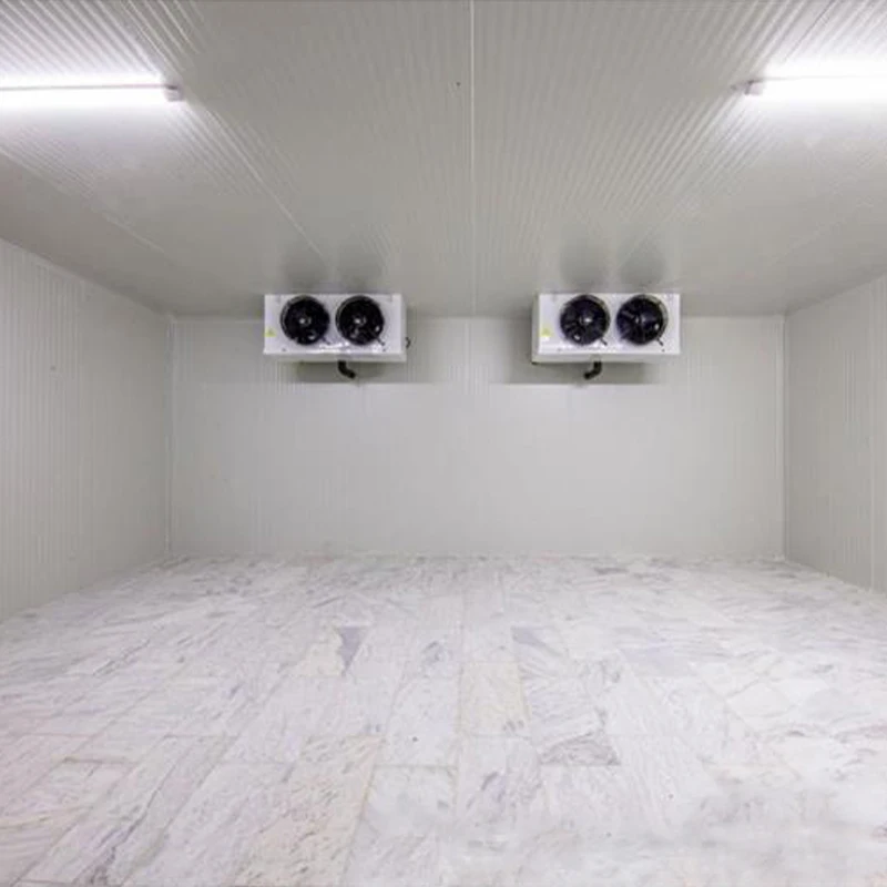 Maßgeschneiderter industrieller Kühlraumbehälter / gewerbliche Kühlbewahrung / begehbare Gefrierraum