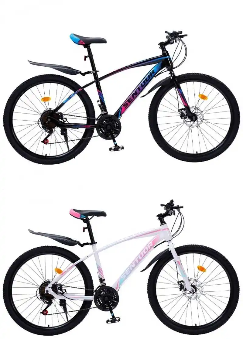 

Mountain bike women's student teen road adult men's speed-absorbing commuter bike