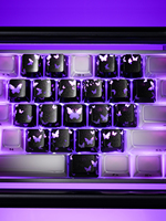 XVX Obsidian Butterfly Keycaps IMD-Pattern Shine Through Black Keycap OEM Profile 21 Keys