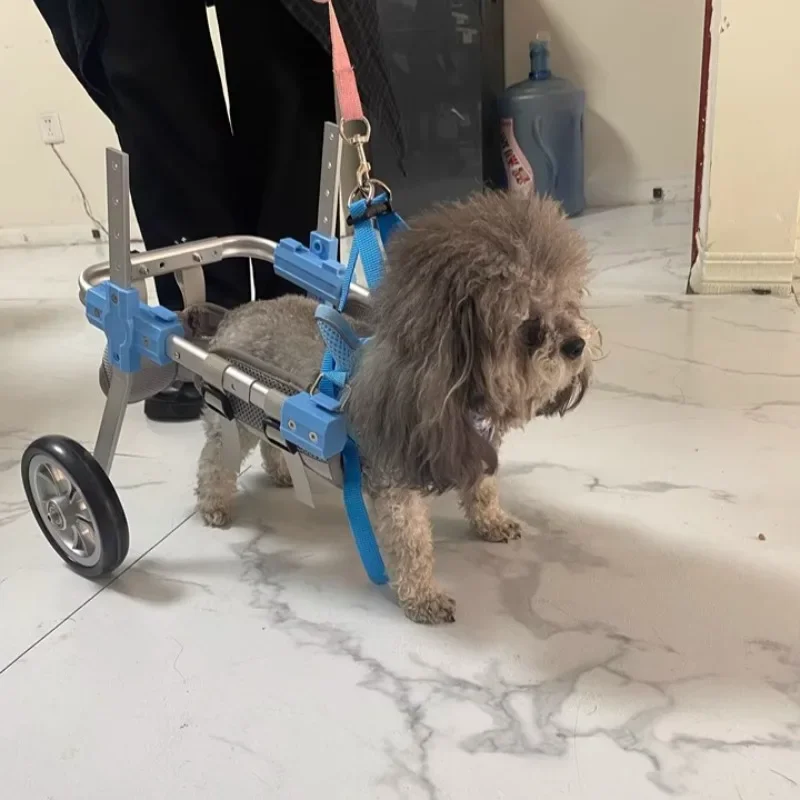 

Регулируемая опора для задних ног для инвалидной коляски для собак — 4-колесная мобильная тележка с ремнем для реабилитации домашних животных пожилых людей/инвалидов