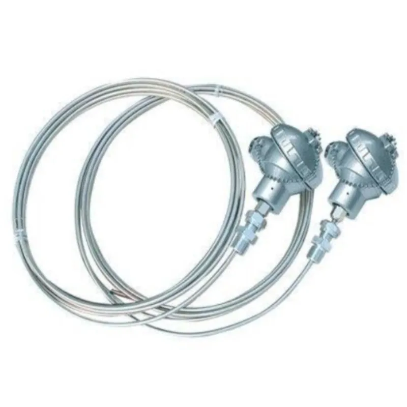 PT RH Thermocouple Sensor With Thermowell For Porcelain Furnace