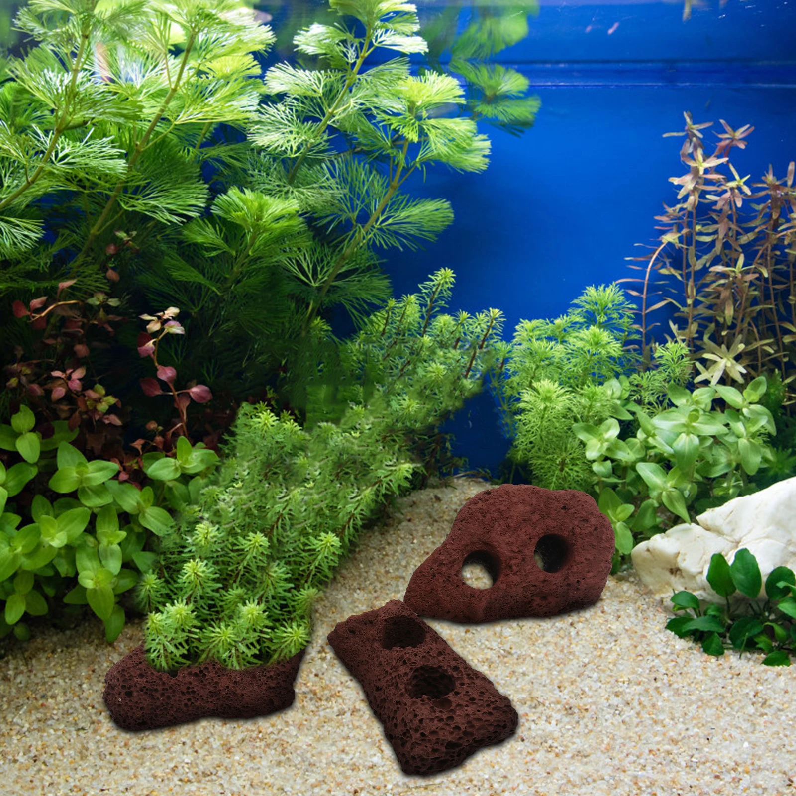 

5Pcs Volcanic Rocks Ornament Durable Fish Tank Decor Perfect for Aquatic Plants and Aquariums Plant Fixed Ring