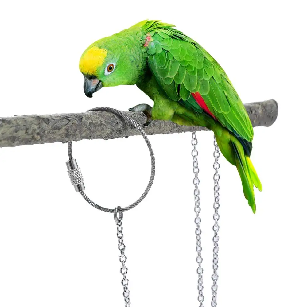 Training Outdoor Starling with Swivel Buckle Cockatiel Bird Accessories Parrot Foot Ring Parakeet Foot Chain Bird Stand Ankle