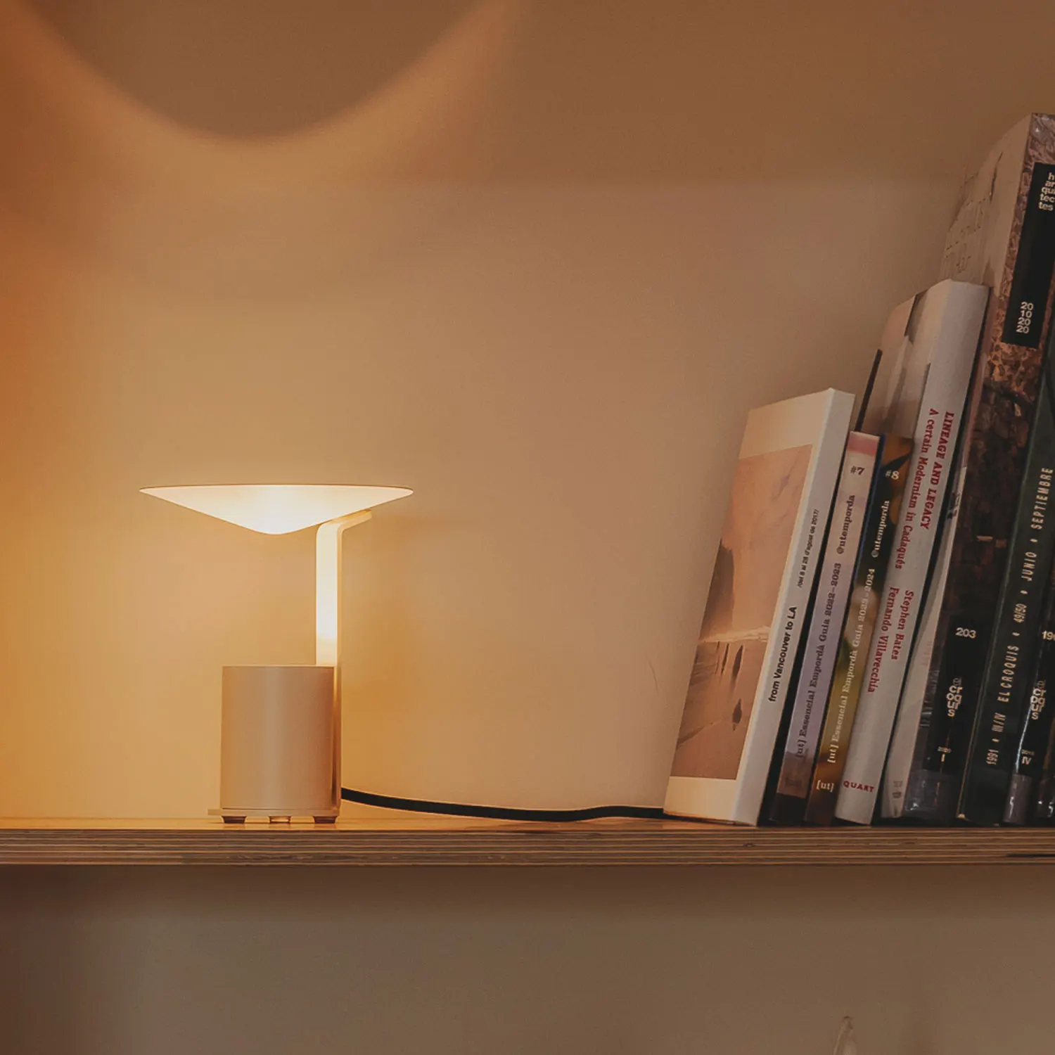 Modern Minimalist Living Room Next To The Sofa Decorative Atmosphere Table Lamp Bedroom Light Luxury Floor Standing Table Lamps