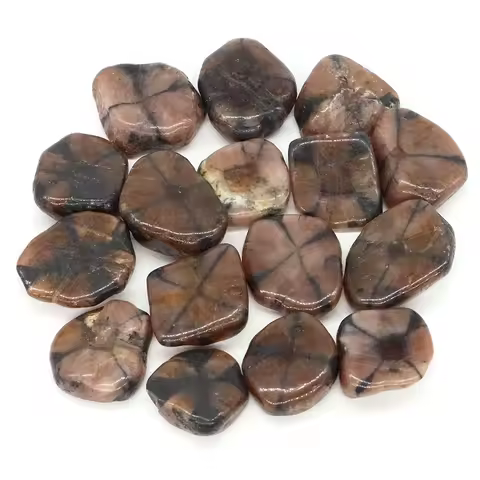 Chiastolite Flake Tumbled Stone Natural Healing Crystal Reiki Gem Energy Mineral Specimen Aquarium Garden Home Decor DIY Pendant